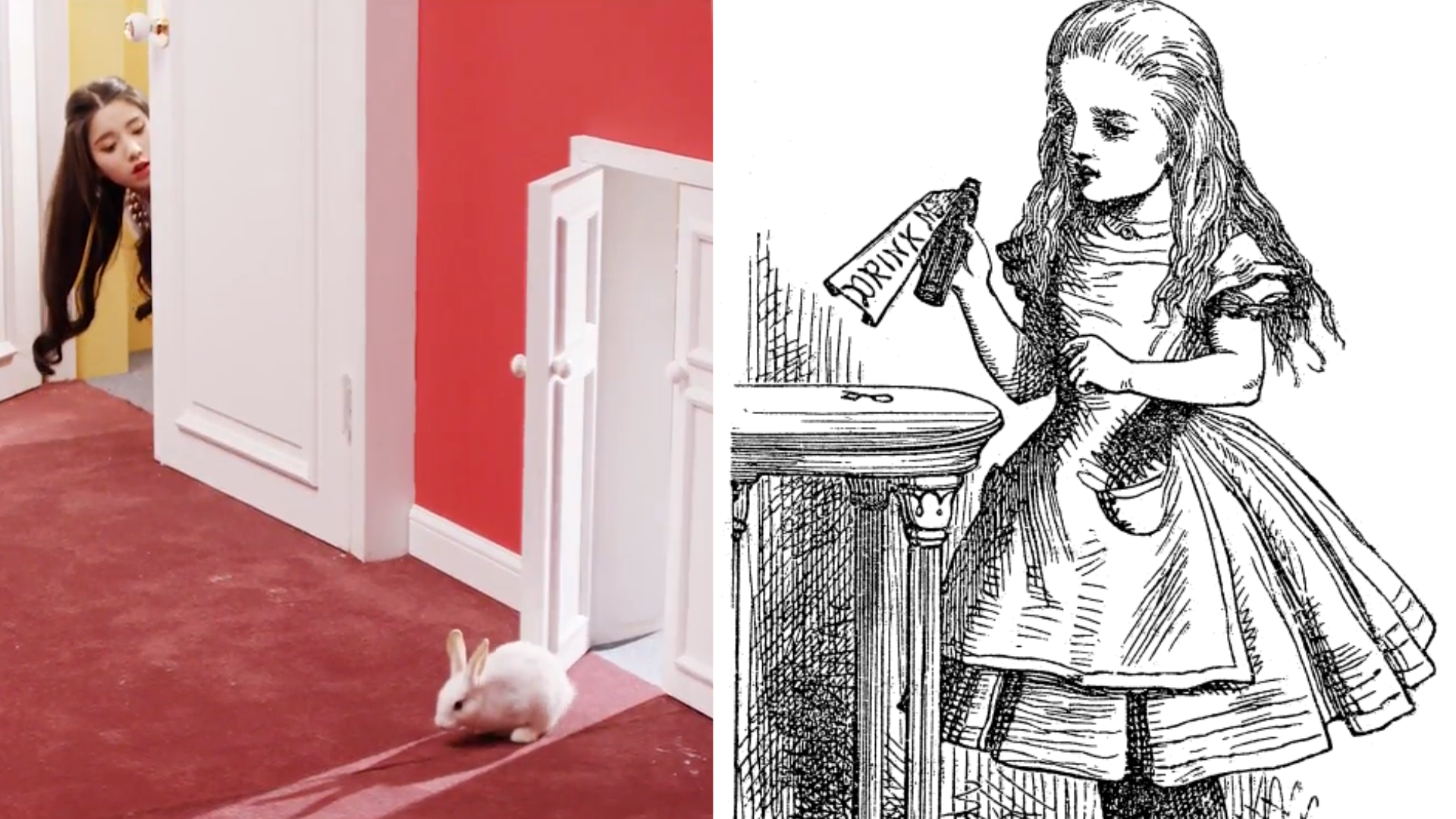 An image comparing Heejin and Alice in Wonderland. On the left is a screenshot of Heejin peaking out from a white door and looking at a rabbit emerging from a smaller white door. On the right is a black and white illustration of Alice holding up a bottle labelled 'Drink Me.'