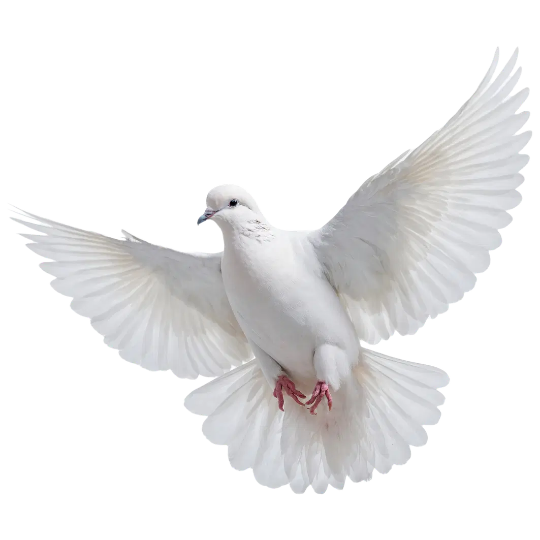 A white bird.